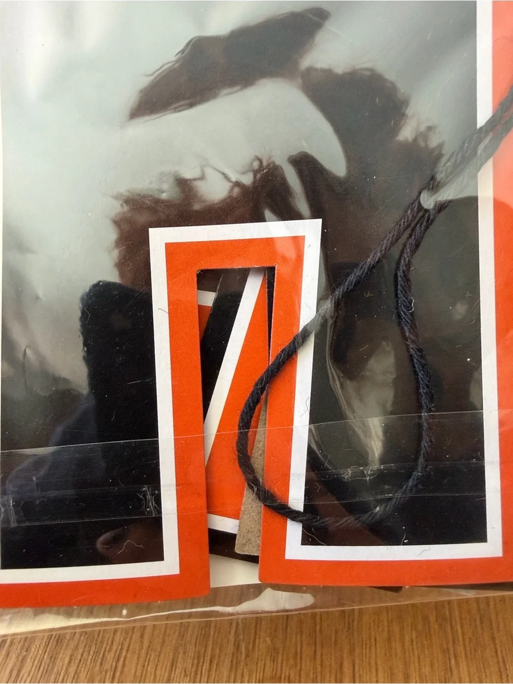 Hobby Lobby Halloween Banner - Orange and Black